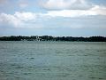 25 - Mangrove 003